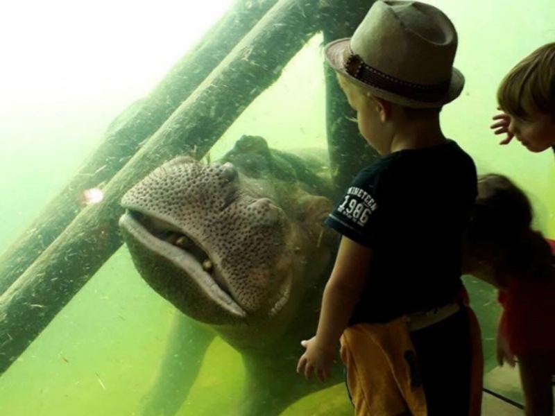 Er op uit naar de Dierentuin, maar welke is het leukst?